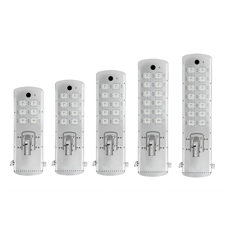 100Watt Auto-cleaning Snow Solar Street Light suppliers